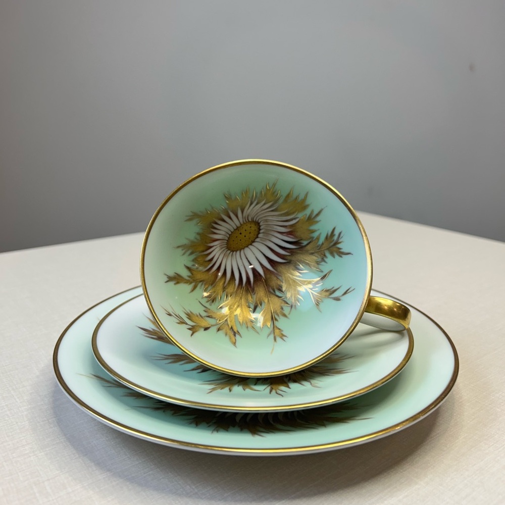 Floral Teacup and Saucer Set with Gold Accents